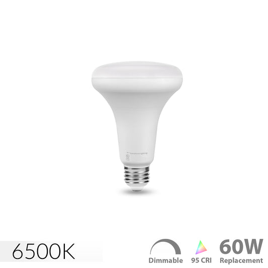 Avian Full Spectrum E26 BR30 LED Bulb for Birds