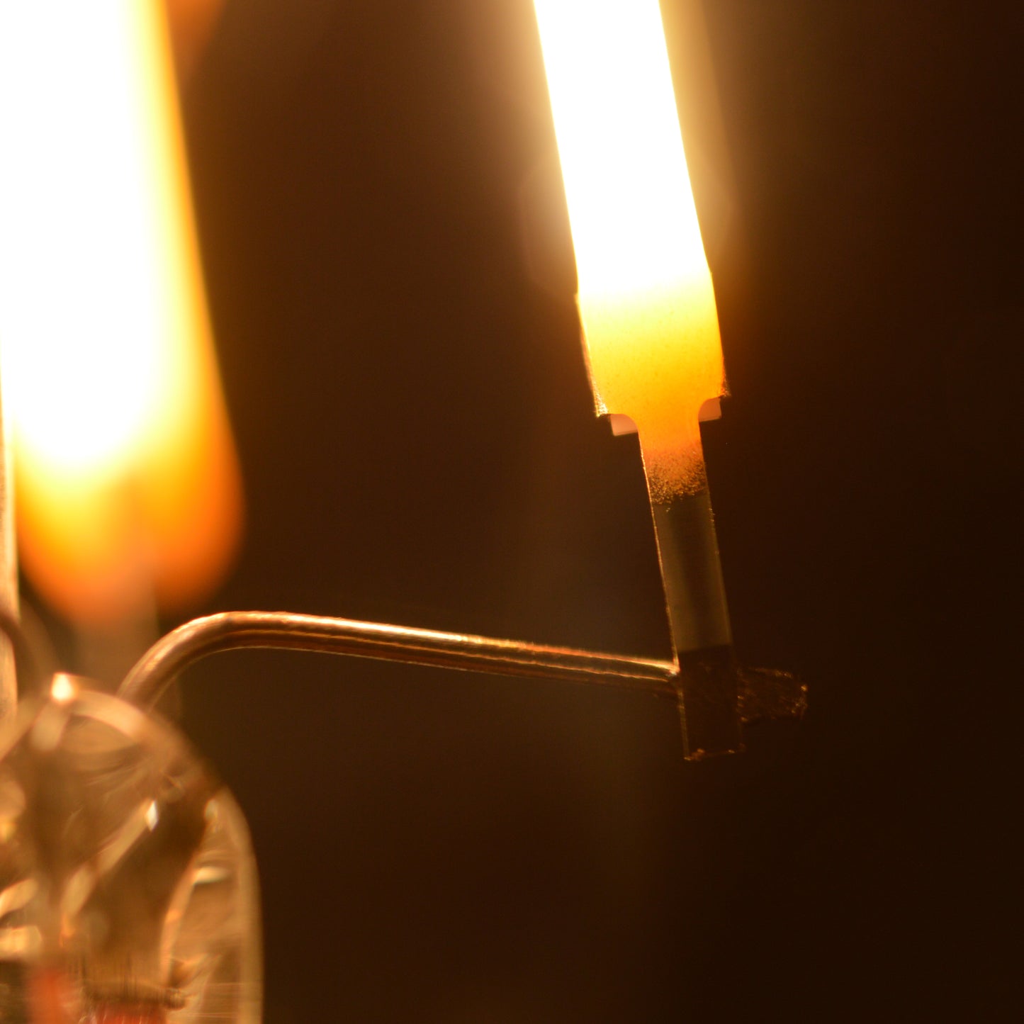ModernVintage™ 95 CRI A19 5W LED Filament Bulb