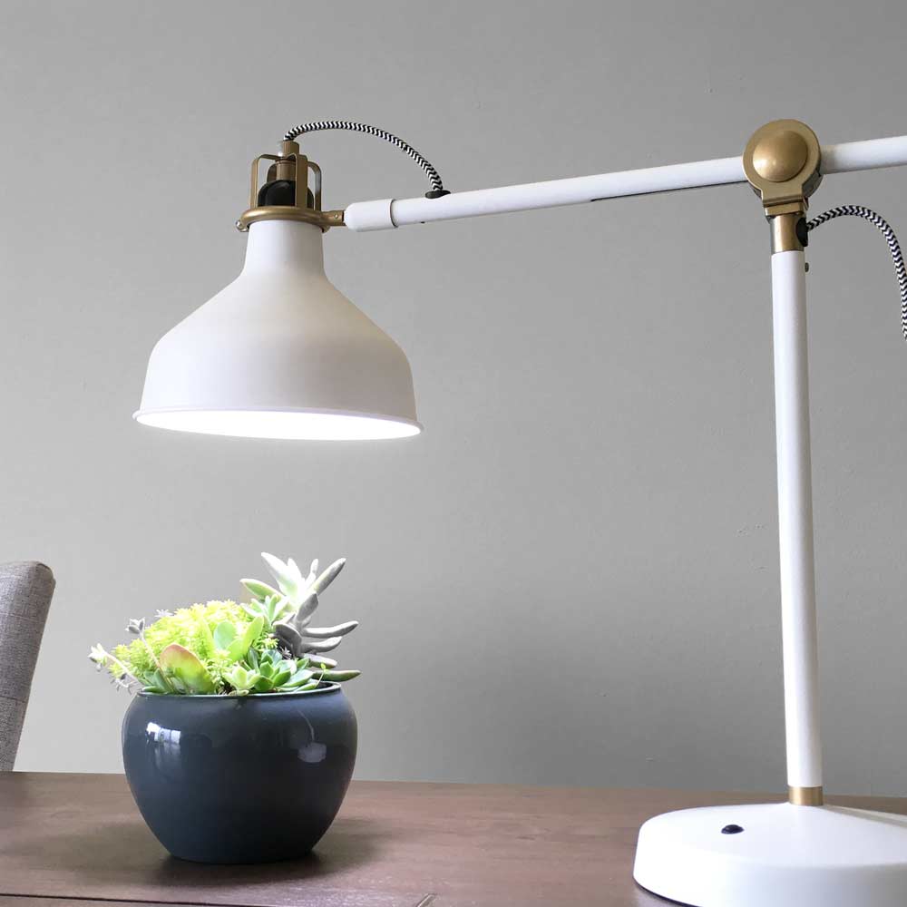 Arizona Light Bulb™ for Succulents