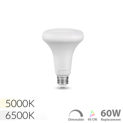 NorthLux™ 95 CRI BR30 LED Bulb for Artwork & Studio