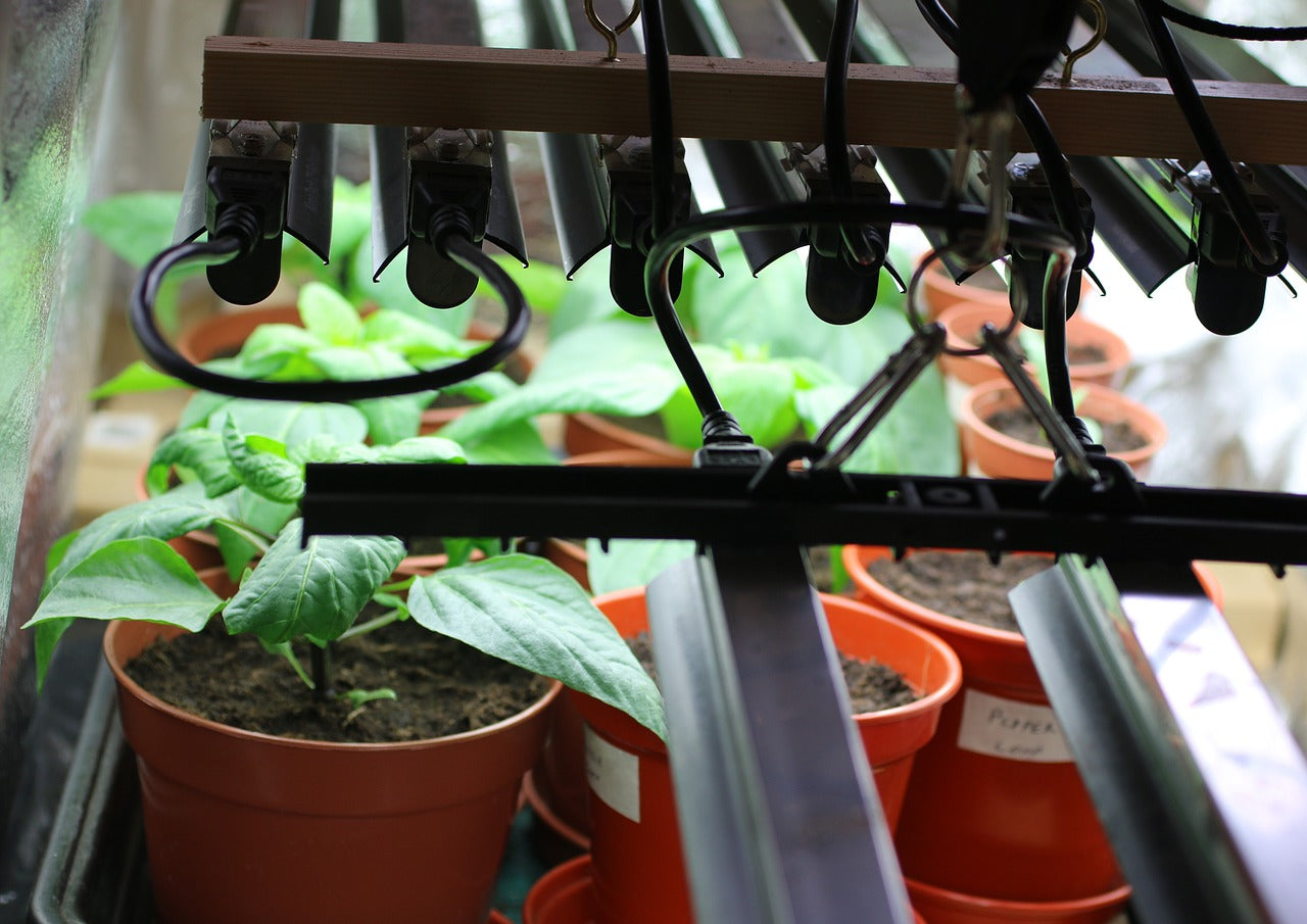 PhotonTube™ T5HO LED Grow Light Tube for Horticulture