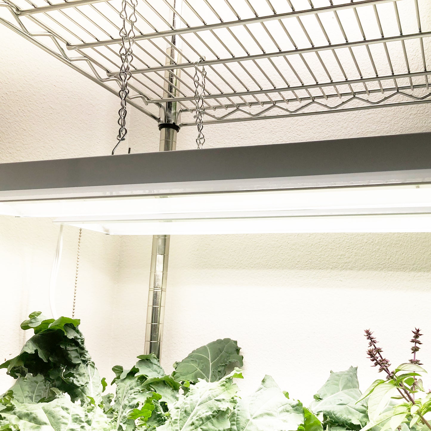 PhotonBlast™ LED Grow Light Fixture